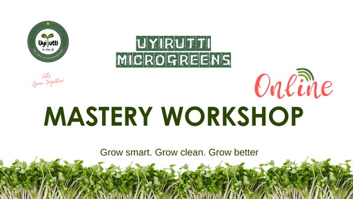 Online Master Class