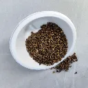 beet 1.webp