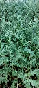20250729_163849.webp
