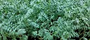 20250729_163840.webp