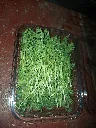 20250629_205025.webp